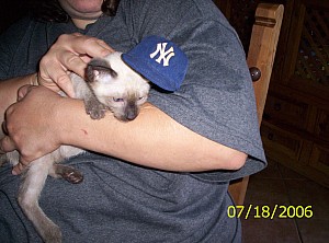 2006-07-18 16-30-45370.JPG