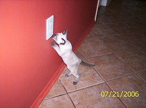 2006-07-21 13-00-03369.JPG