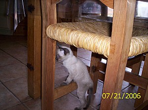 2006-07-21 13-03-13368.JPG