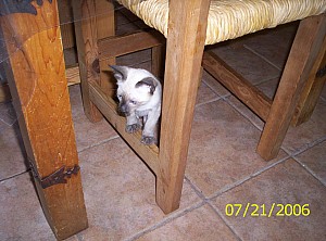 2006-07-21 13-03-31367.JPG