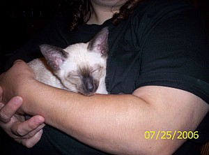 2006-07-25 20-31-32363.JPG