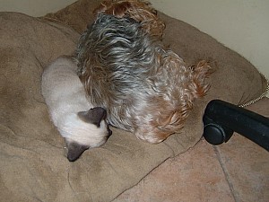 2006-08-06 08-09-48354.jpg