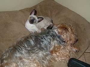 2006-08-07 00-52-47346.jpg