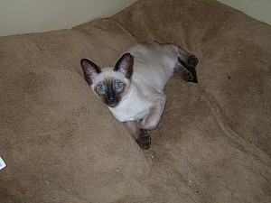 2006-08-07 00-59-07345.jpg