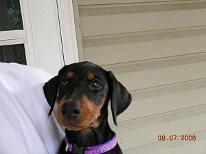 2006-08-07 15-36-25344.jpg