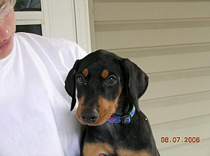 2006-08-07 15-36-36343.jpg