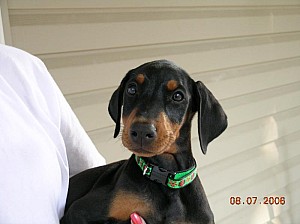 2006-08-07 15-36-50342.jpg