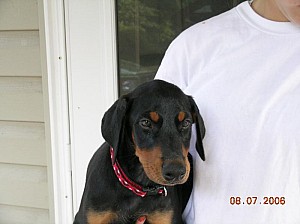 2006-08-07 15-37-09341.jpg