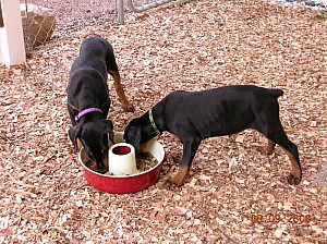 2006-08-09 11-40-40340.jpg