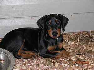 2006-08-09 16-40-14337.jpg