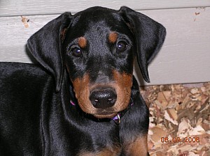 2006-08-09 16-40-25336.jpg