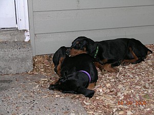 2006-08-09 16-45-19334.jpg