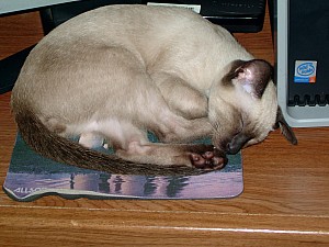 2006-08-10 01-57-51333.jpg