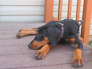 2006-08-22 02-28-02321.jpg