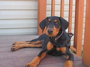 2006-08-22 02-28-15320.jpg