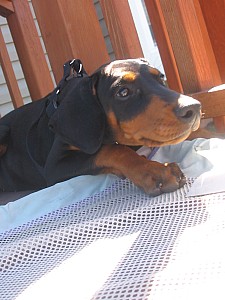 2006-08-22 02-29-23319.jpg