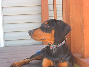 2006-08-22 02-29-45318.jpg