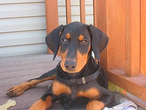 2006-08-22 02-30-37317.jpg