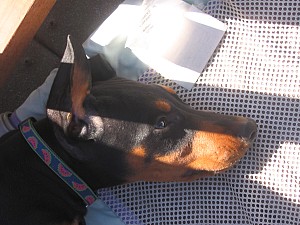 2006-08-22 02-32-12316.jpg