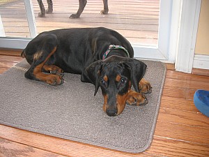 2006-08-22 05-51-10315.jpg