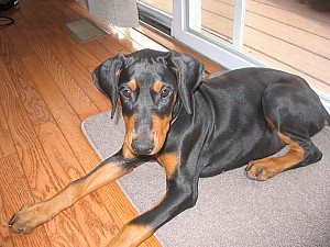 2006-08-22 05-51-50314.jpg