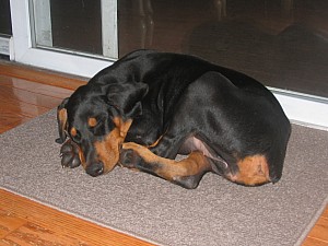 2006-08-22 08-13-53313.jpg