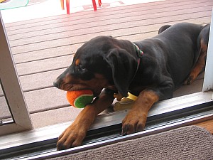 2006-08-23 02-04-52306.jpg