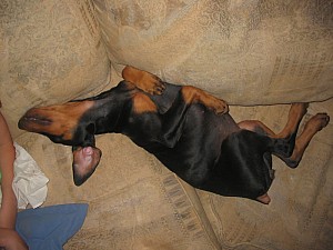 2006-08-23 09-40-51299.jpg