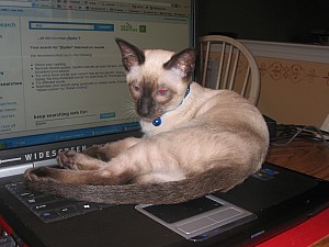 2006-08-27 03-32-52270.JPG