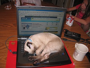 2006-08-27 03-49-13269.JPG