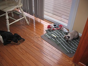 2006-08-28 01-22-47266.jpg