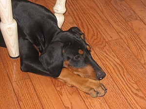 2006-08-28 01-23-10265.jpg