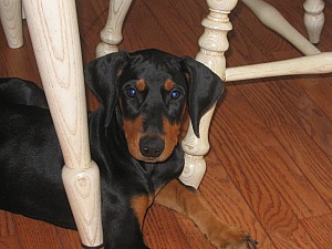 2006-08-28 01-24-05264.jpg