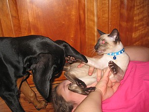 2006-08-28 01-25-40263.jpg