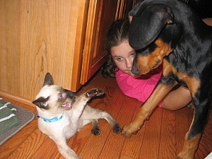 2006-08-28 01-26-57262.jpg