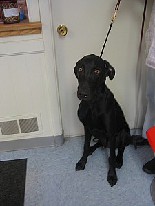 2006-08-30 21-48-23261.JPG