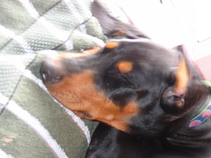 2006-09-01 05-11-16241.jpg