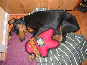 2006-09-01 05-34-50240.jpg