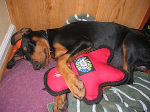 2006-09-01 05-37-04239.jpg