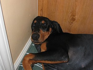 2006-09-08 20-52-22233.jpg