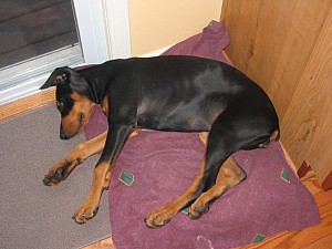 2006-09-15 21-04-21232.jpg