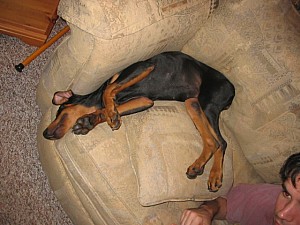 2006-09-21 08-22-15229.jpg