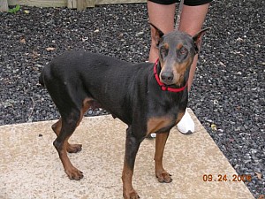 2006-09-24 11-56-43219.jpg