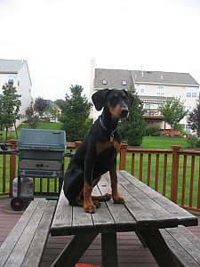 2006-09-28 00-10-01218.jpg