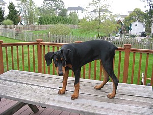 2006-09-28 00-10-19217.jpg