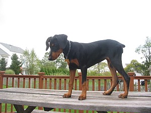 2006-09-28 00-10-29216.jpg