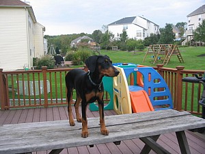 2006-09-28 00-11-44215.jpg