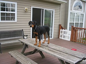 2006-09-28 00-12-03214.jpg