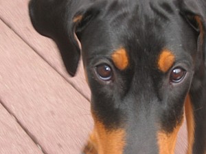 2006-09-28 00-14-32212.jpg