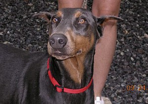 2006-09-28 19-25-33211.jpg